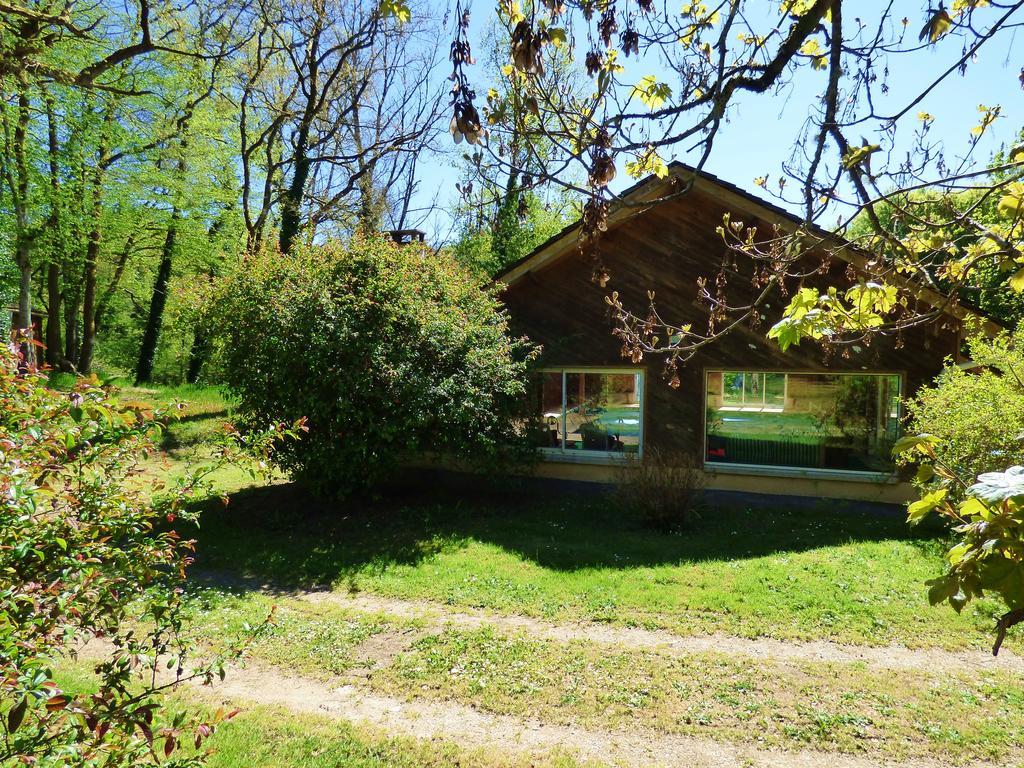 Royères-Saint-LéonardBeau Site Guimauve Et Vieilles Dentelles住宿加早餐旅馆 外观 照片