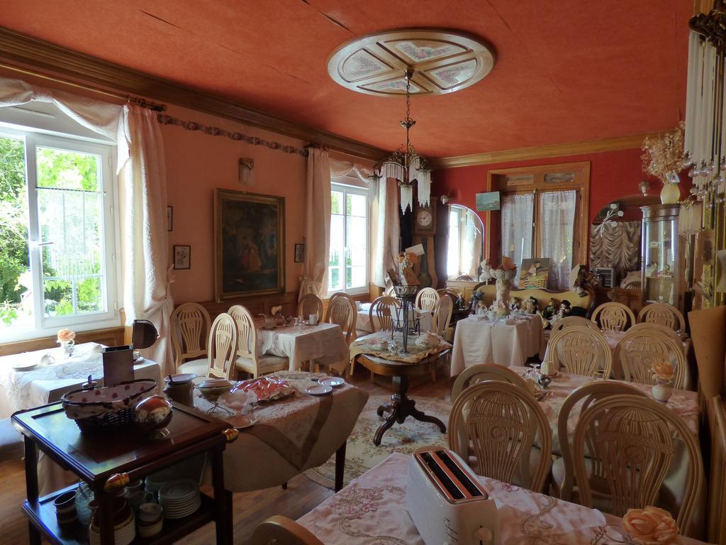 Royères-Saint-LéonardBeau Site Guimauve Et Vieilles Dentelles住宿加早餐旅馆 外观 照片
